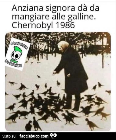 Quelle non sono galline...