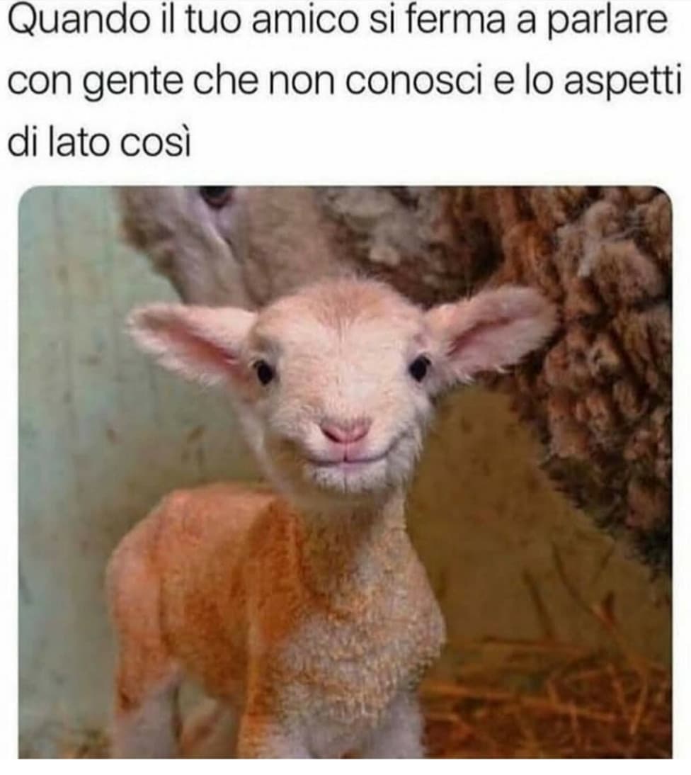 A chi non è mai capitato?