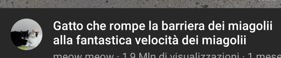 Vi prego come posso disattivare la traduzione automatica dei titoli? 