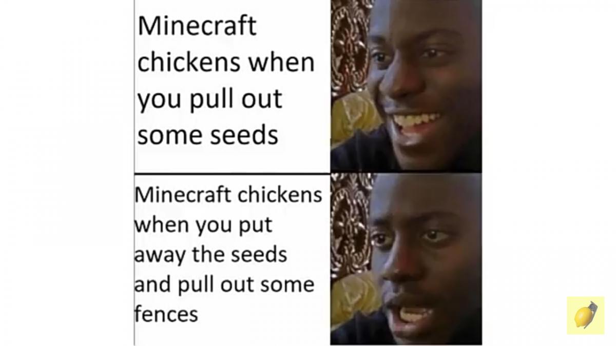 Minecraft meme