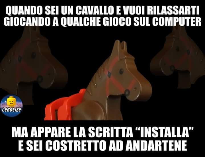 Triste vita quella dei cavalli