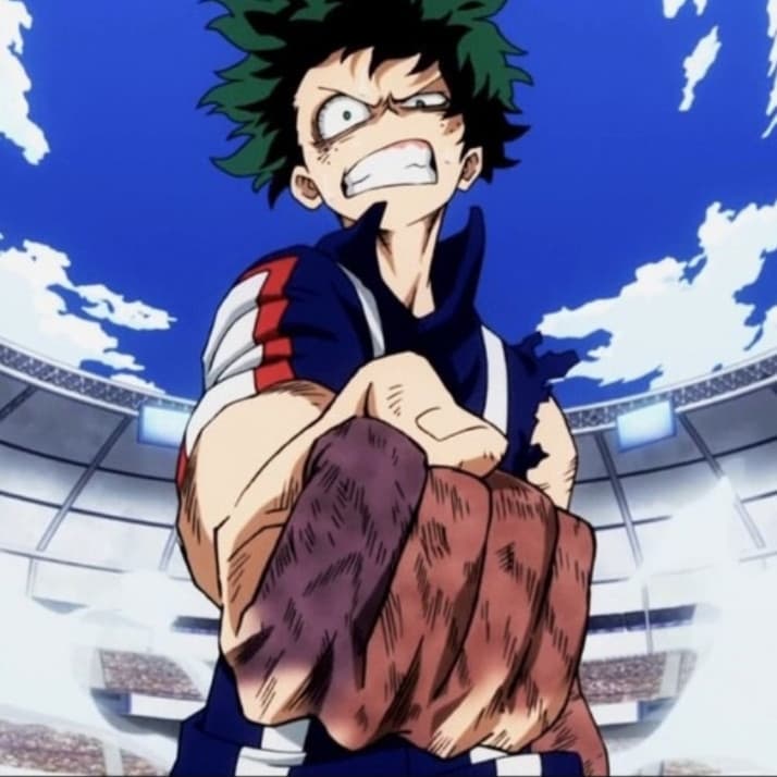 Ci sono i miei amici che continuano a dire che assomiglio a Deku...sto ancora cercando di capire quanto sia positiva come cosa 