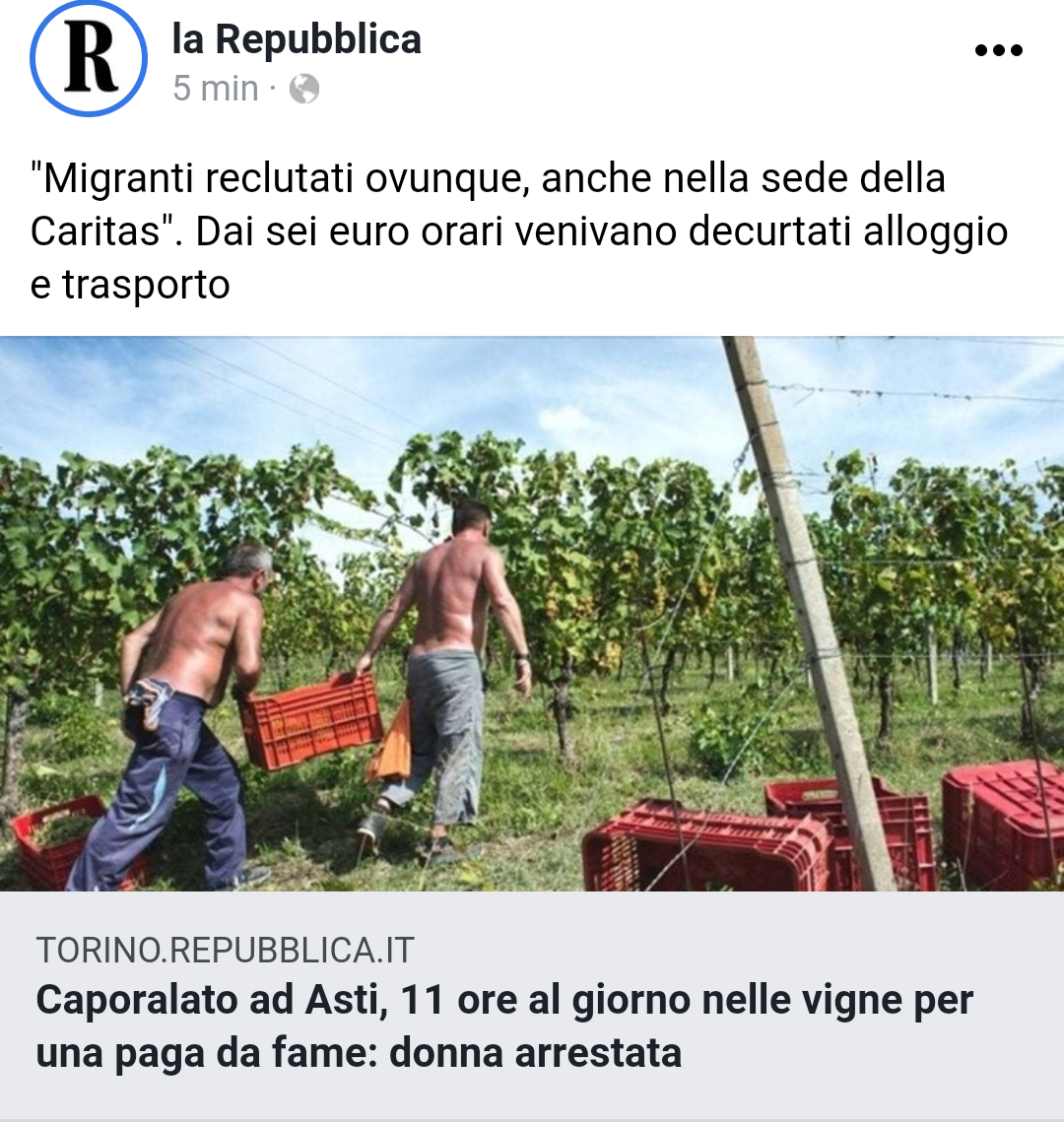 "FANNO LAVORI CHE GLI ITALIANI NON VOGLIONO FARE,NON LI VUOI?VAI TU NEI CAMPI,SENZA DI LORO NON MANGERESTI" cit. Di negrieri ingenui