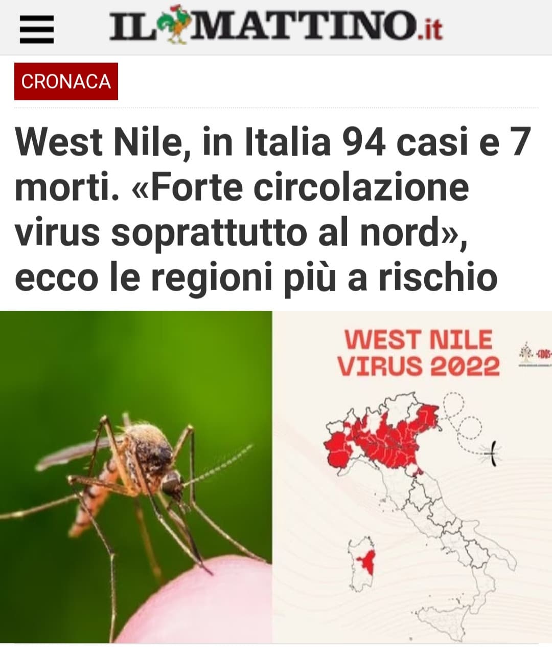 che cazzo no non lo voglio il virus delle zanzare dai