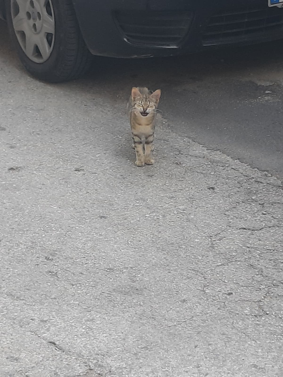 Una volta sono "uscita" con sta persona e quando mia madre è venuta a prendermi ero tipo "=)". Poi mi fa "cos'hai che ridi?" E io "non sto ridendo ._."