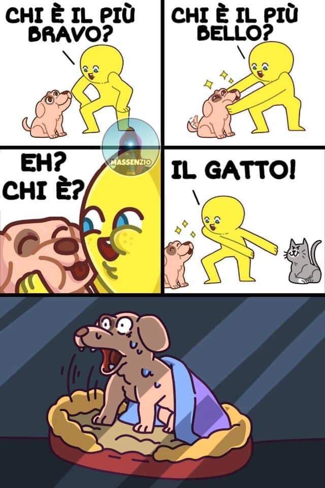 ??? ma povero