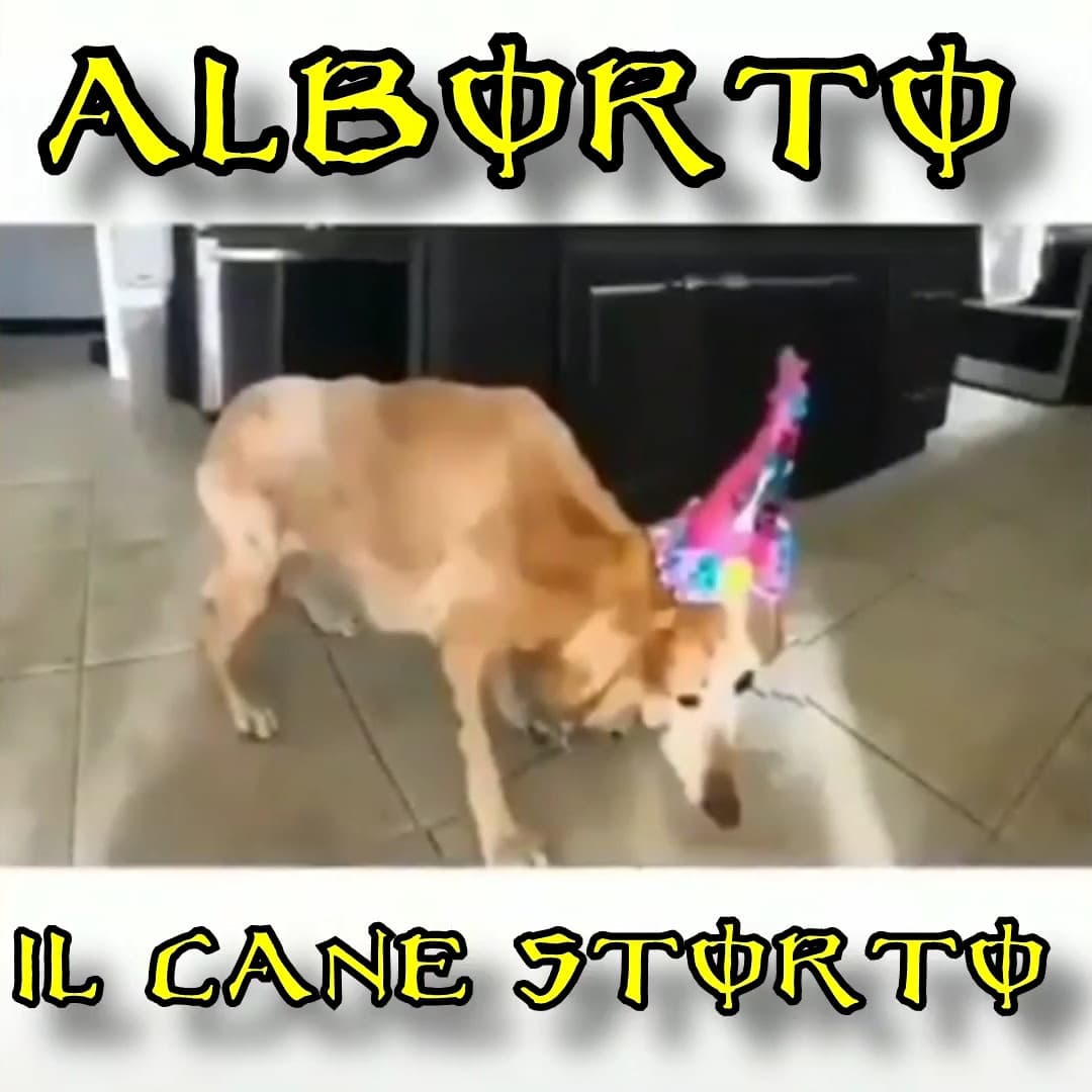 aLbOrTo