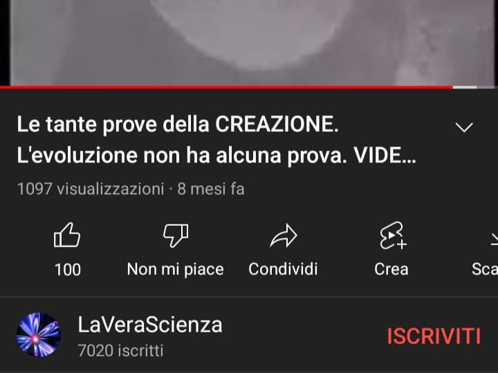 Ho visto sto video e mi è salito il crimine 