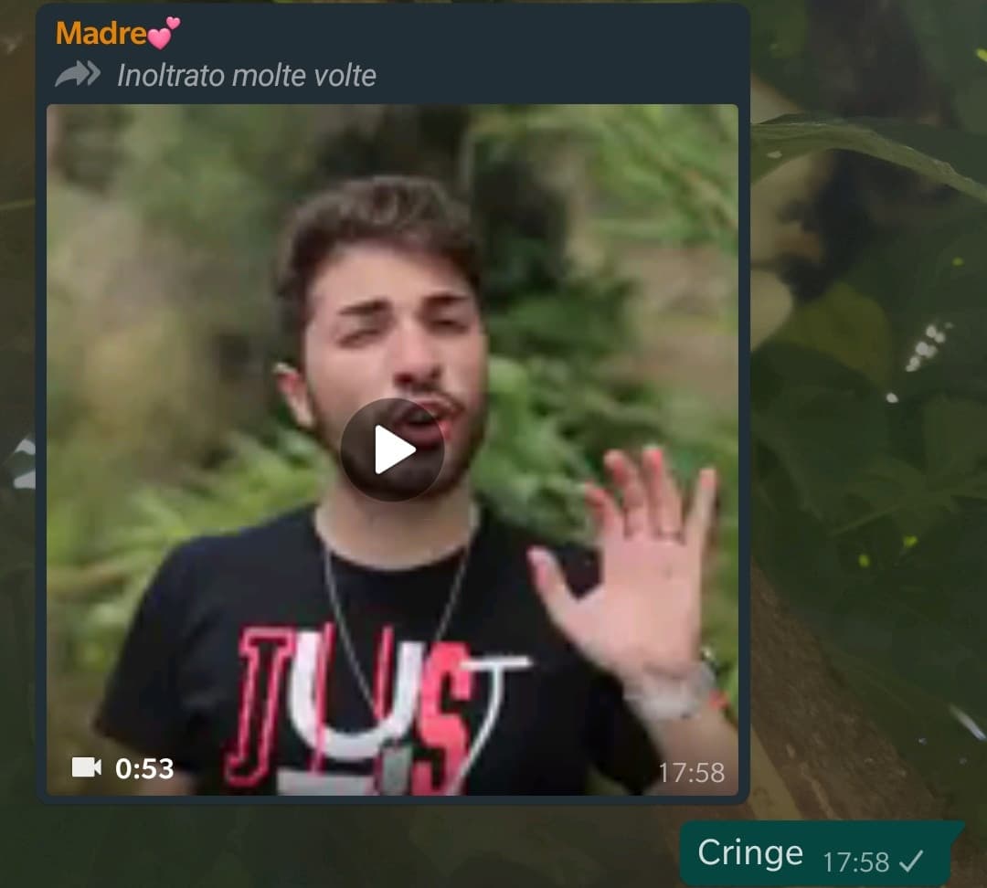 Mamma: "cosa significa cringe?"
Io: "non sei pronta a saperlo""
(Comunque è il classico video fatto e rifatto un po' da boomer)