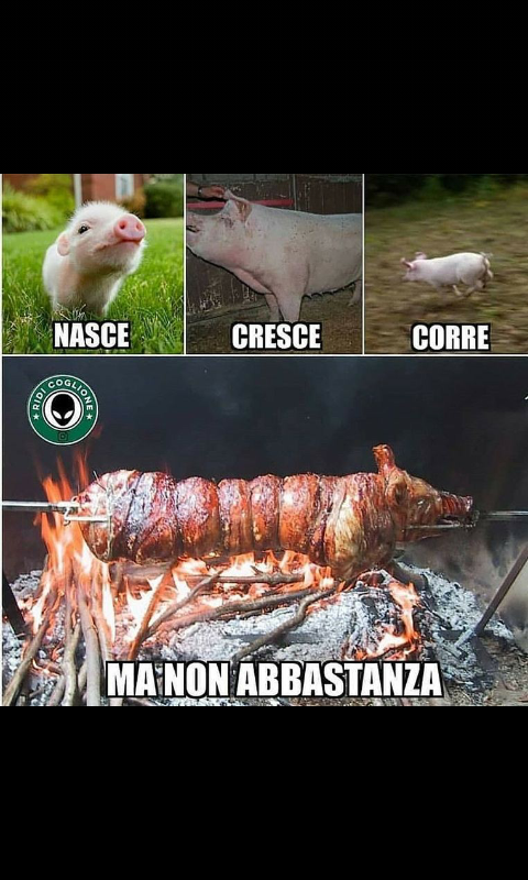 [Nessun titolo]