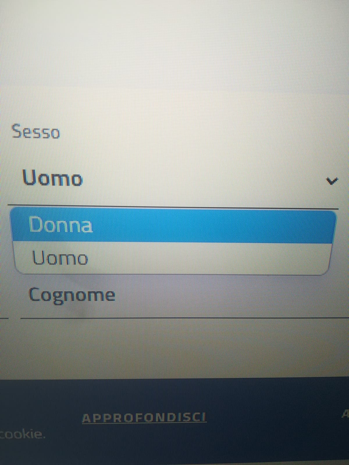 oH mErDa iL pOrTAle dElLa rEgIonE lOMNbardiAw mEttE cOmE sEsO soLO lE oPzIOnI maSChIo E feMIna ewwwwwwwwwwww mi sento discriminato ????????????♿♿♿♿