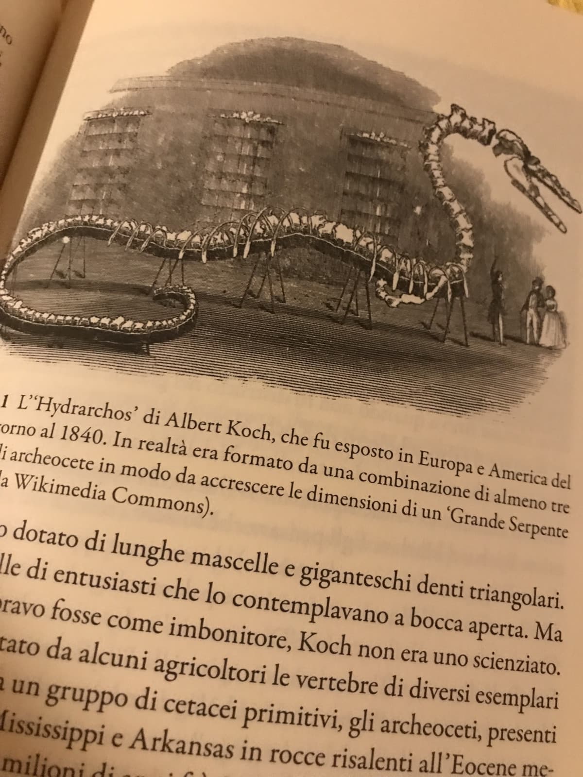 Vado a spaccare la faccia a tutti quelli che snobbano il dialetto e che non vogliono impararlo o insegnarlo ad altri