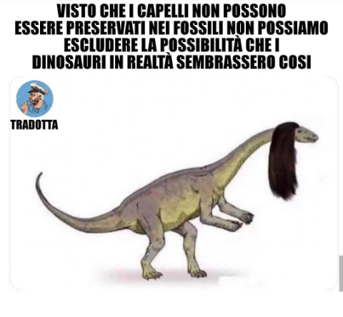 Voglio i dinosauri afro