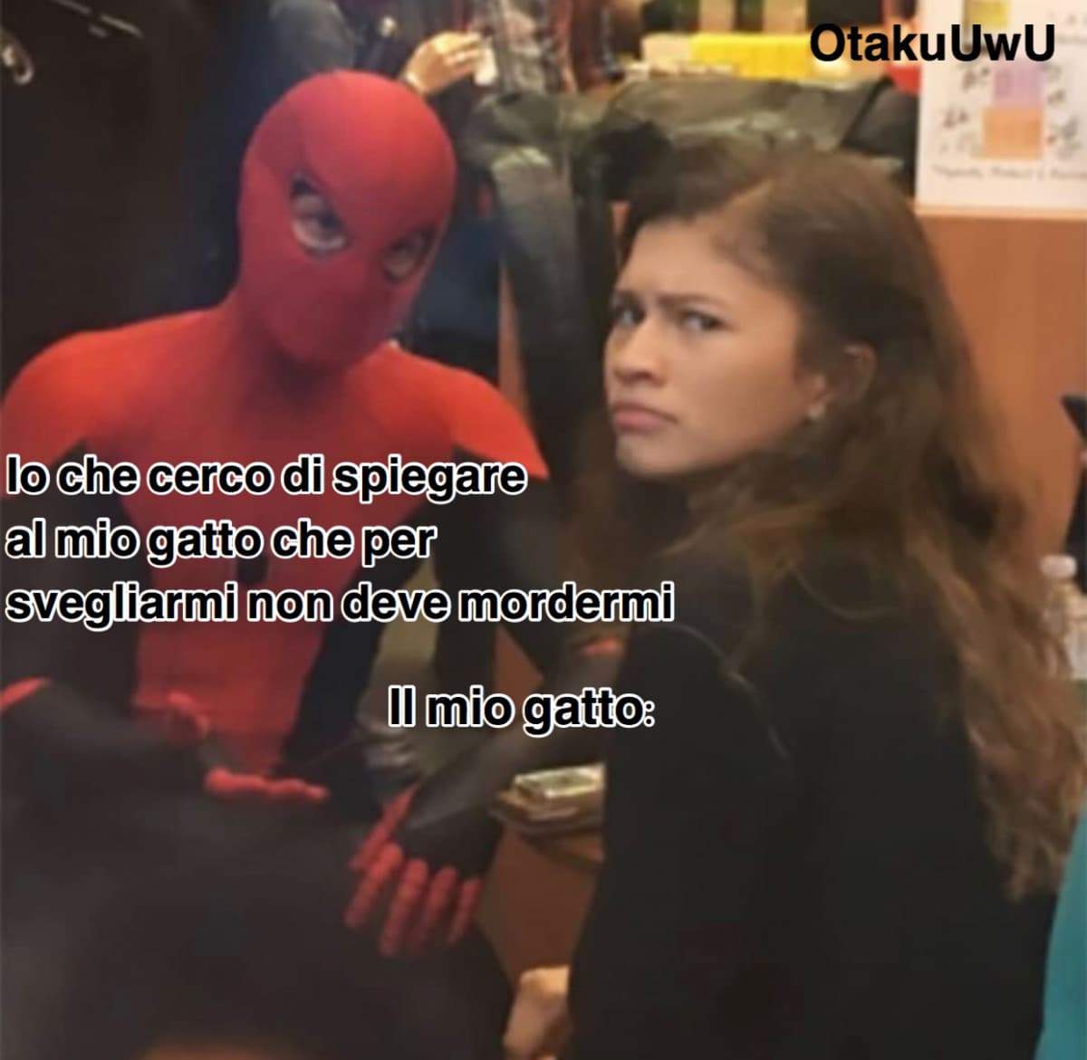 Primo meme fatto da me