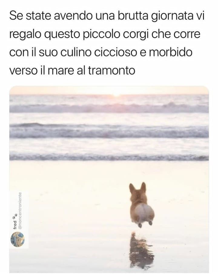 Buona giornata, amici!