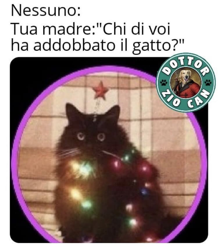 Chi è stato??