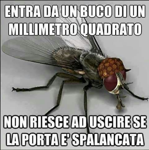 Tutto vero?