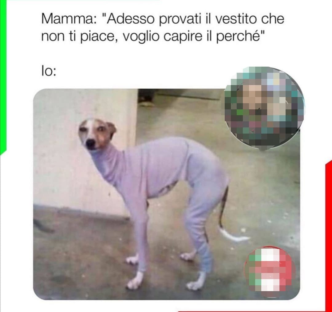 È sempre così quando la mando a fare shopping da sola...