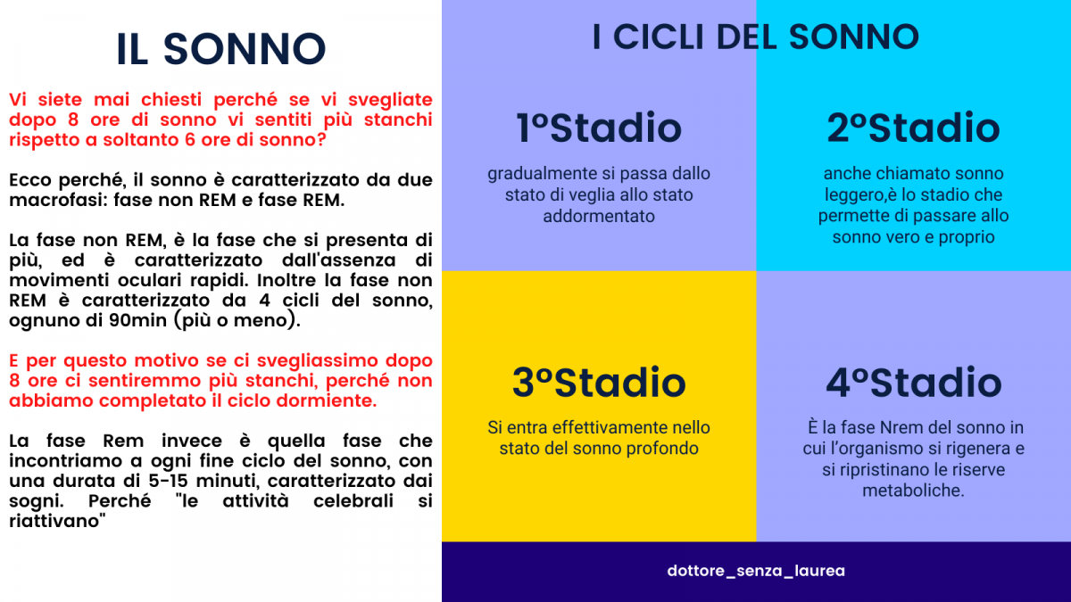 Vi siete mai chiesti perché se vi svegliate dopo 8 ore di sonno vi sentiti più stanchi rispetto a soltanto 6 ore di sonno?