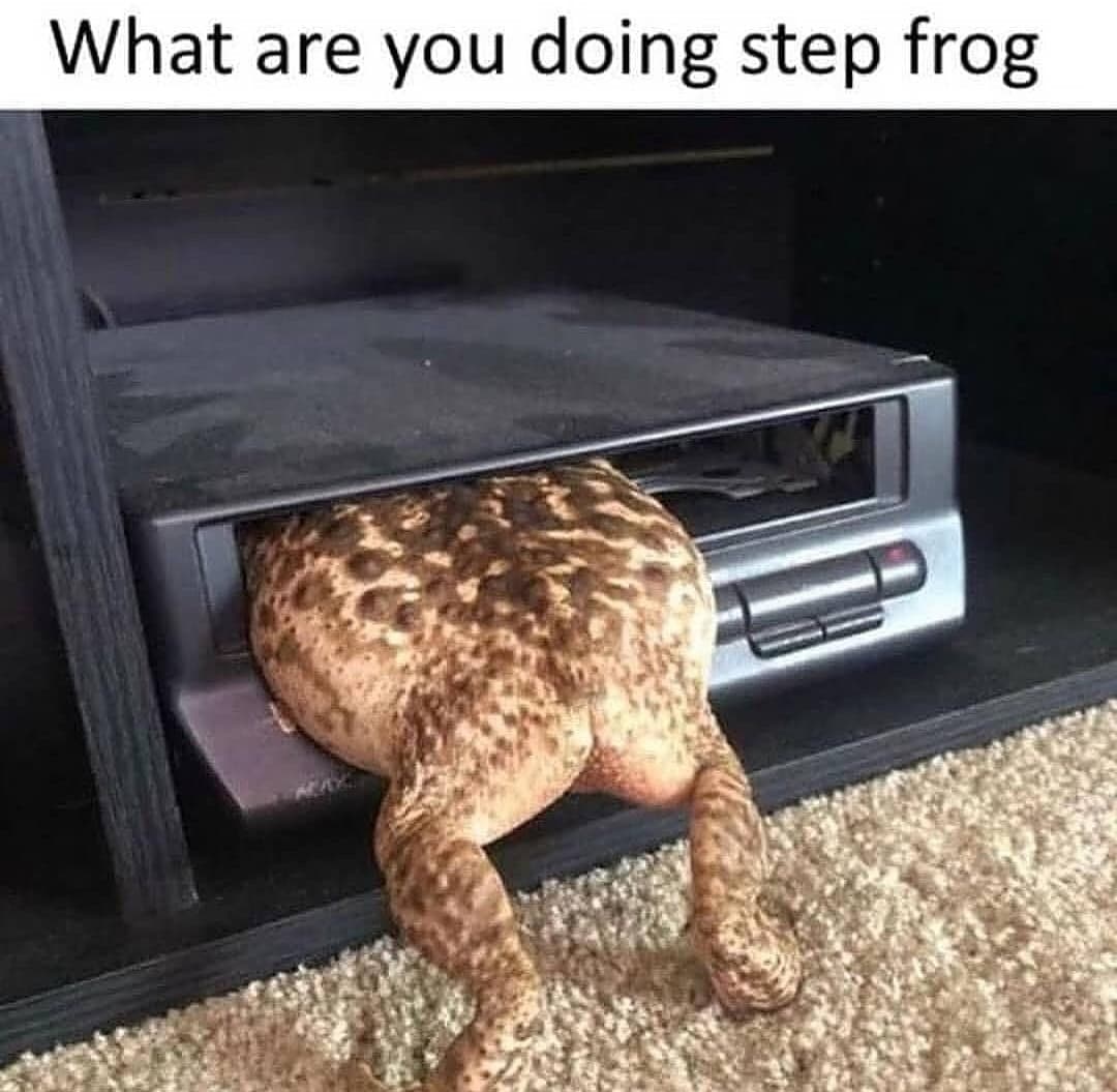 Stepfrog