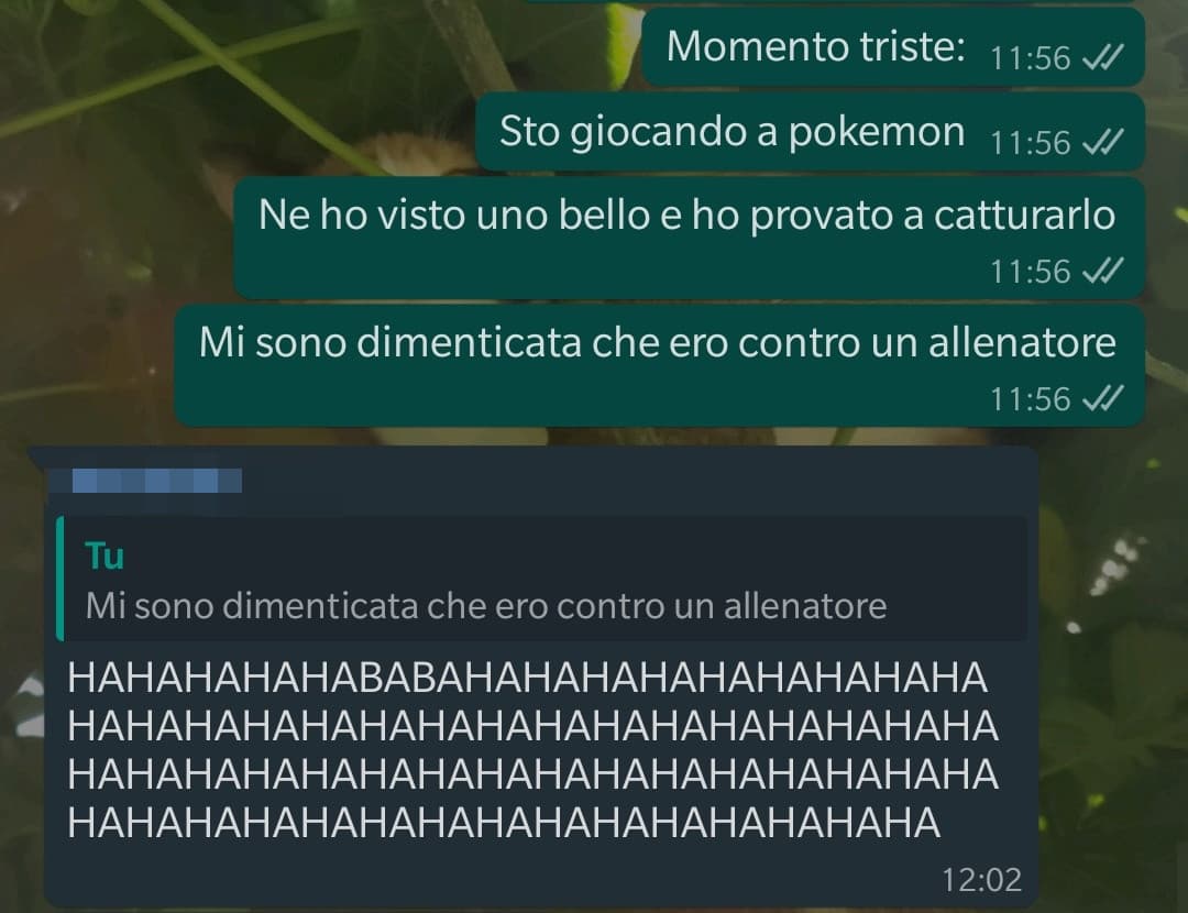 (chat di ieri) comunque, mi sono dimenticata di raccontarlo, la prof dell'ora prima è scoppiata a piangere e ci ha chiuso in faccia 