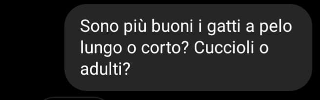 Indovinate da che città viene la persona a cui ho scritto questo messaggio