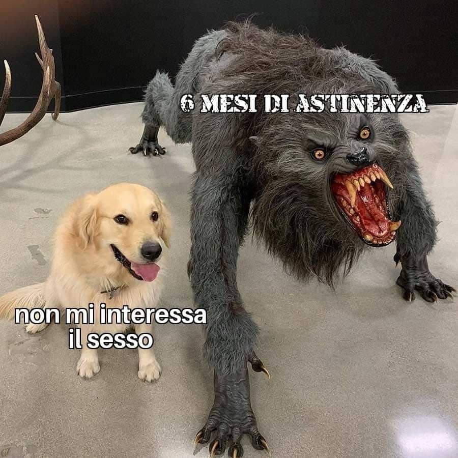 Verità