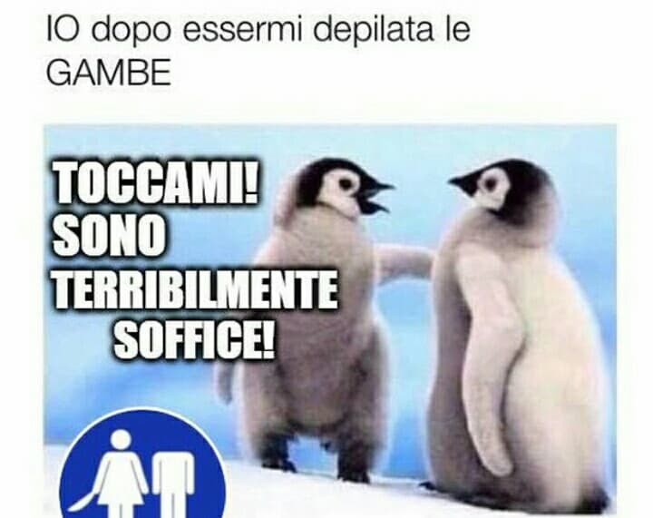 Sempre