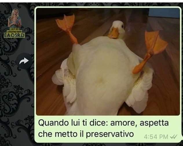 Per tutto giorno sono stata triste, ma questa mi ha sollevato il morale. 