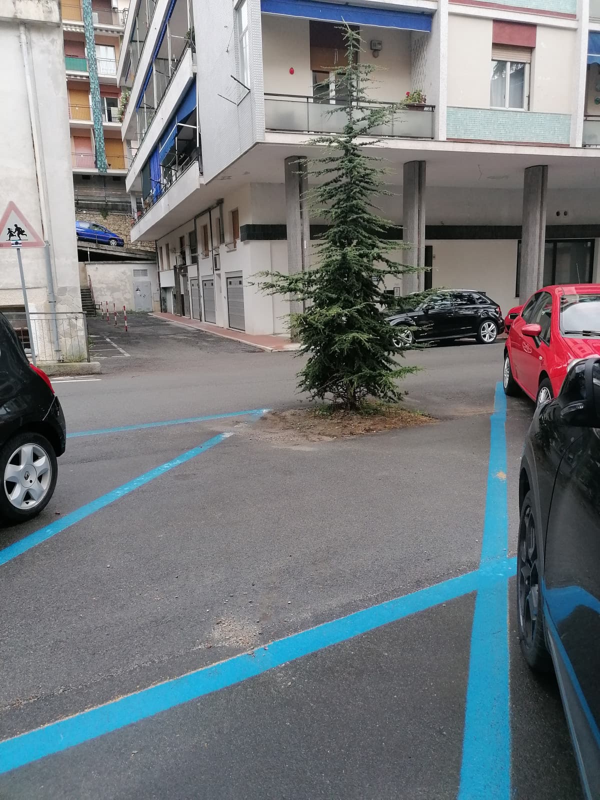 "Nel 2022 le auto voleranno". E invece abbiamo i parcheggi per alberi 