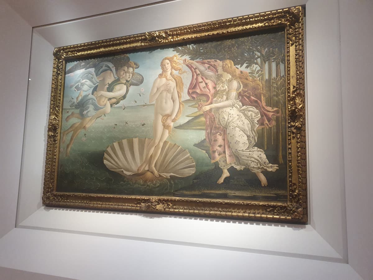 Vi esco la nascita di Venere di Botticelli che ho visto oggi