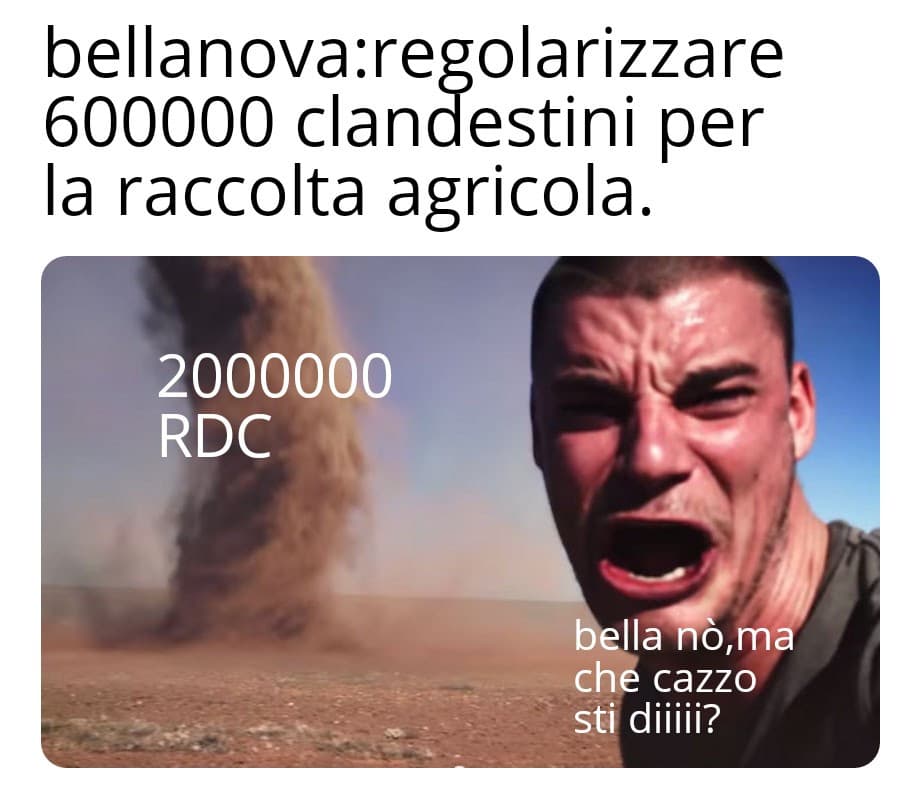 2000000 di reddito di cittadinanza