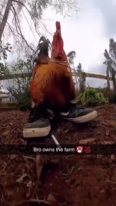 Io con il mio pollo