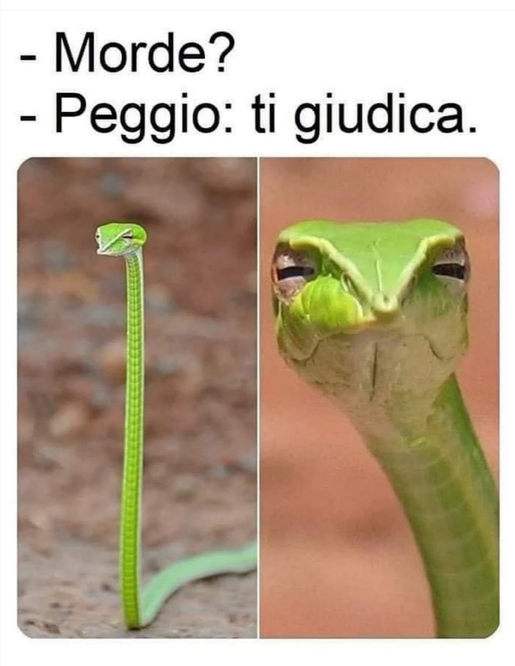 Non so perché ma mi fa ridere... 