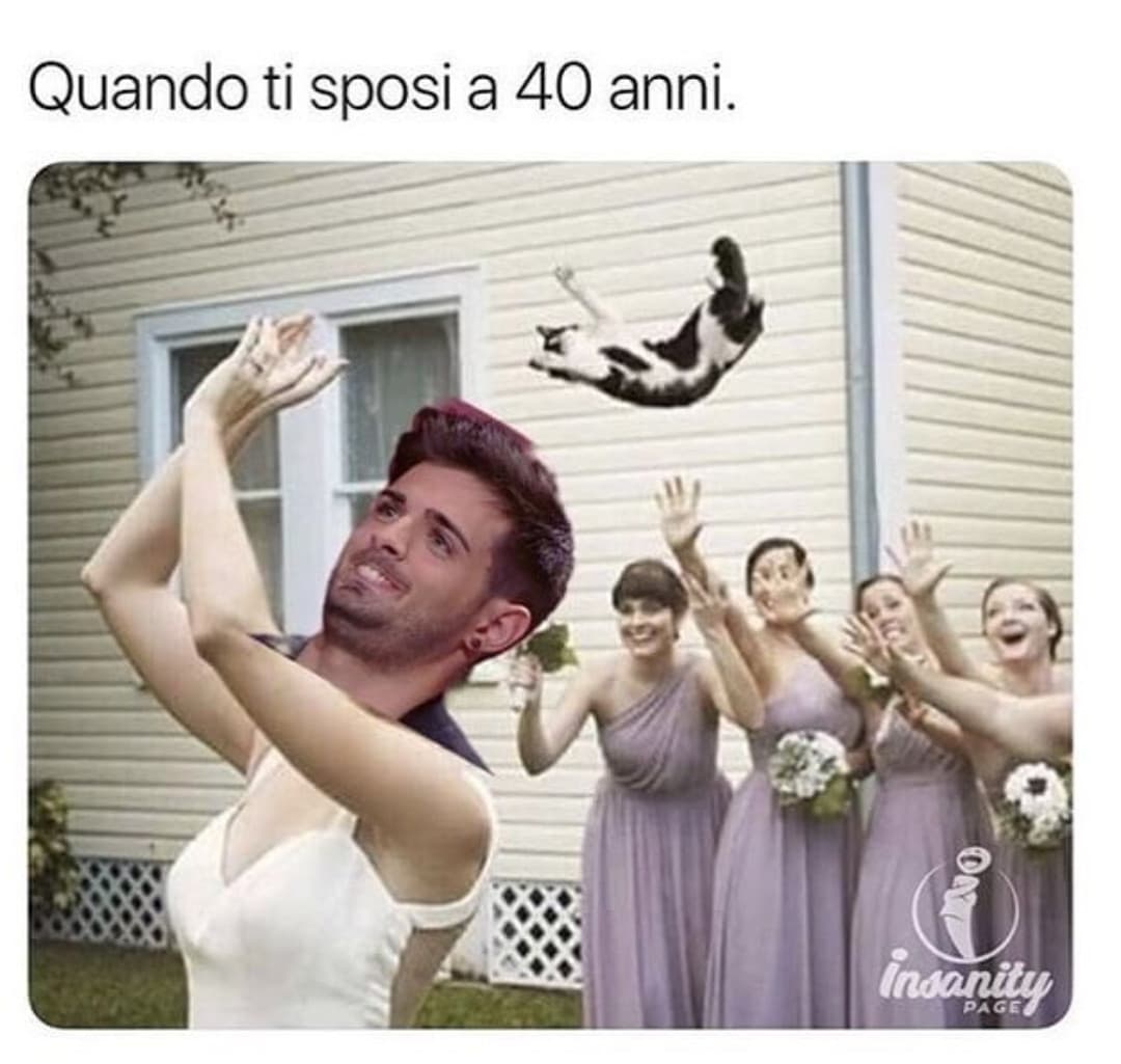 Il grande Leonardo ?