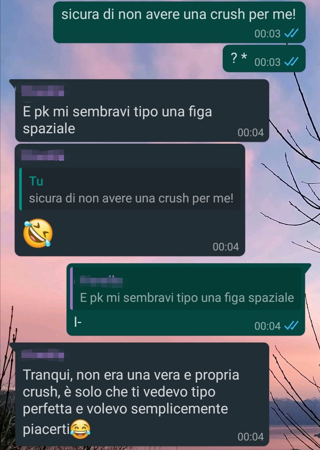 NO RAGA IO SOSPETTO CHE LEI ABBIA SERIAMENTE UNA CRUSH PER ME