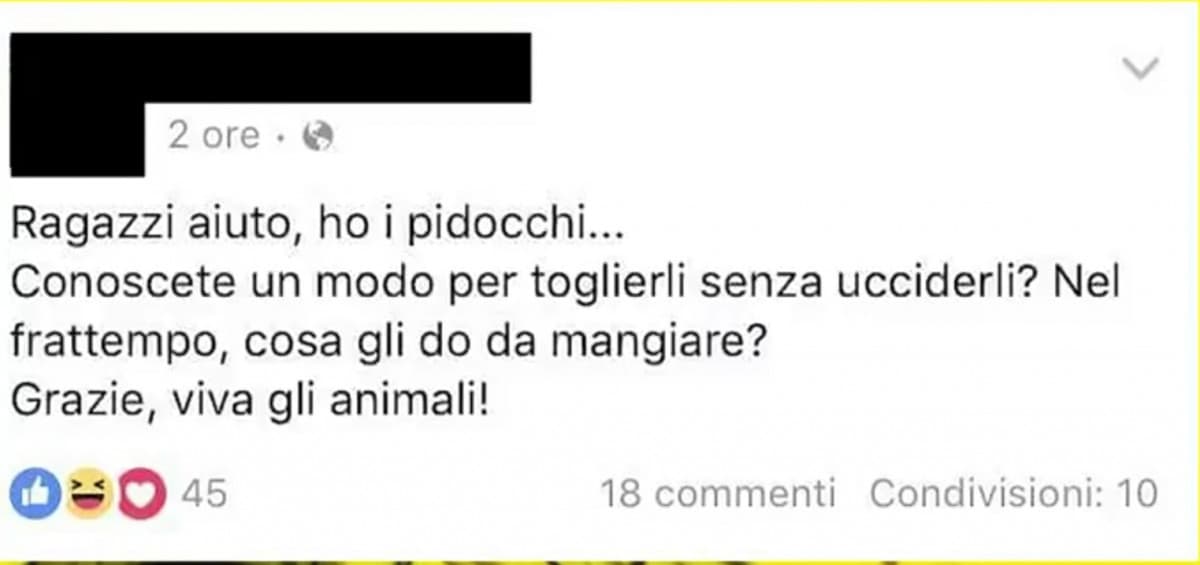 Non ho parole... 