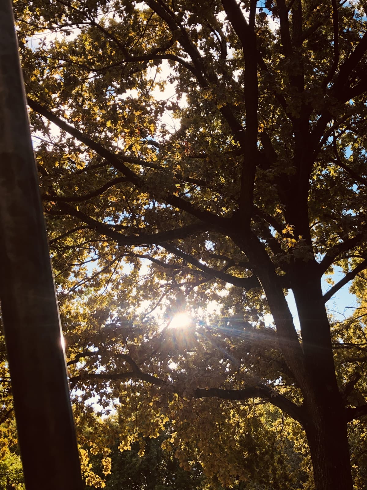 Ho scoperto la fotografia, penso sia una via per fermare il tempo, per immortalare quell’unico è solo attimo che non si ripeterà mai più.