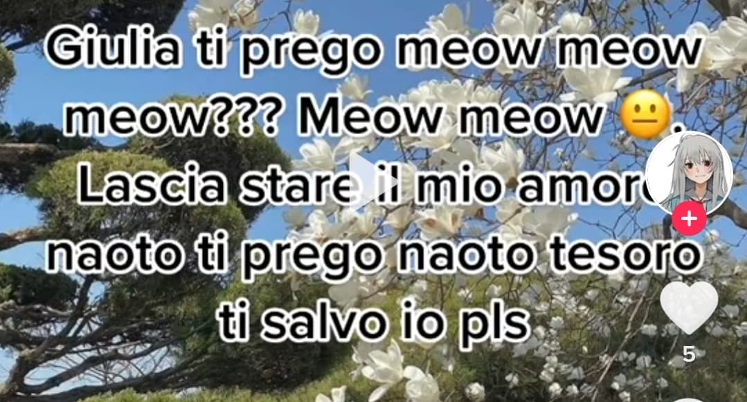 Mi diverto con poco. E sì, usa come neopronomi meow/meowself. Cioè, per me è una presa per il culo, ma ok.