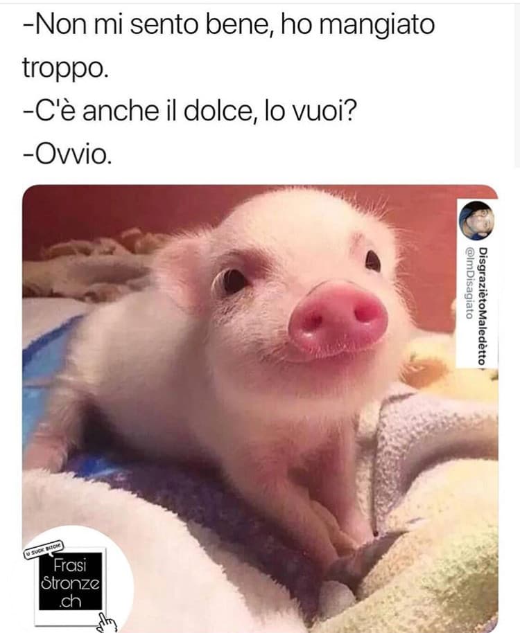 Io con la pizza ??