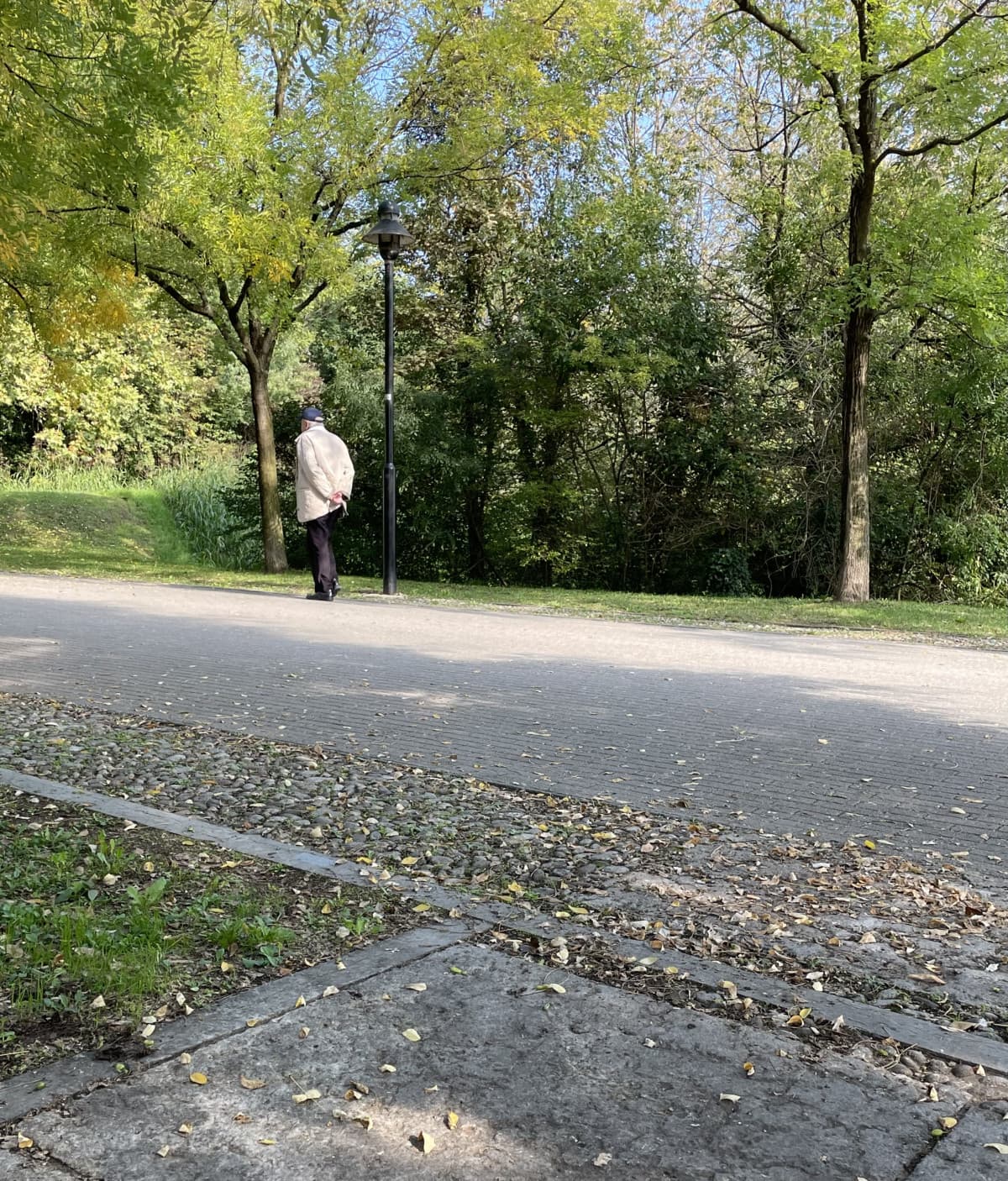 È tutto come dovrebbe essere… io sono seduto su una panchina in legno e osservo la gente che passa: un anziano che cammina lento con le mani dietro la schiena, una donna di mezza età passa con al guinzaglio un cagnolino orrendo dal muso discutibile, i raga