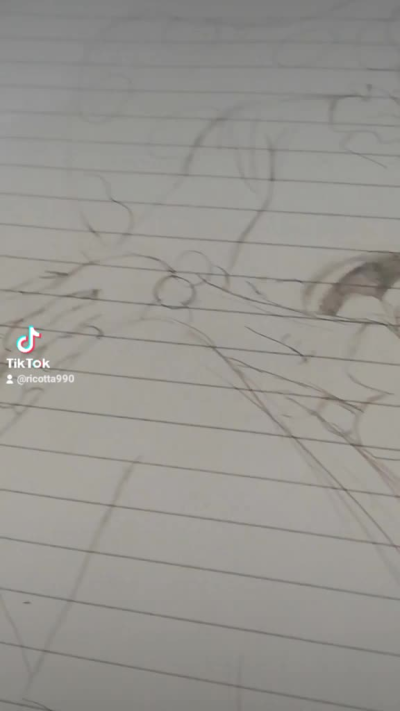 Non si possono più fare le chiamate con le kitten di discord per flezzare i disegni copiato da pixiv male