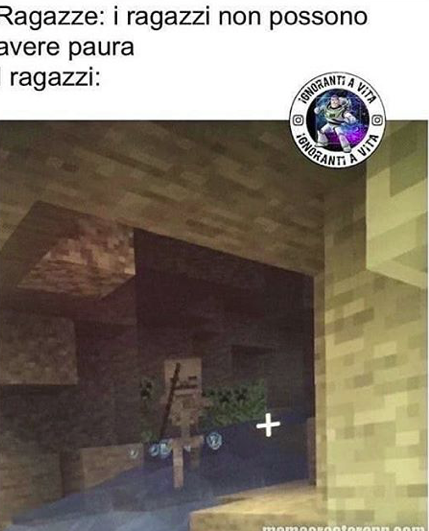 ieri mio fratello stava giocando a minecraft con i suoi amici e sento uno di loro urlare "no non in caverna che sento gli zOmBi".poi si definiscono pRo GaMeR. piango