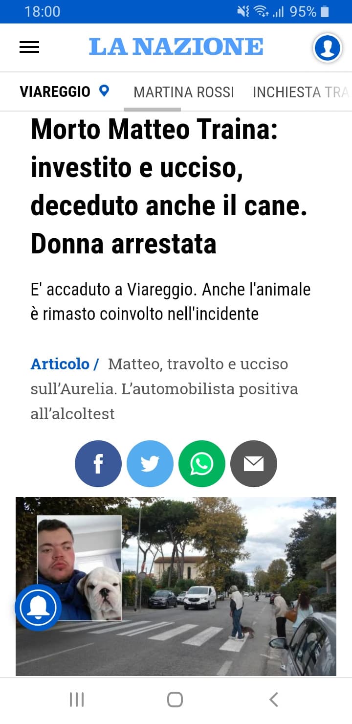 Non notate anche voi una certa somiglianza fra il cane e il ragazzo?