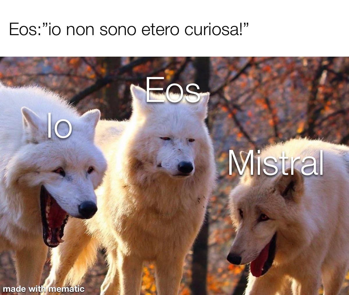 EtERo CuRioSaHH