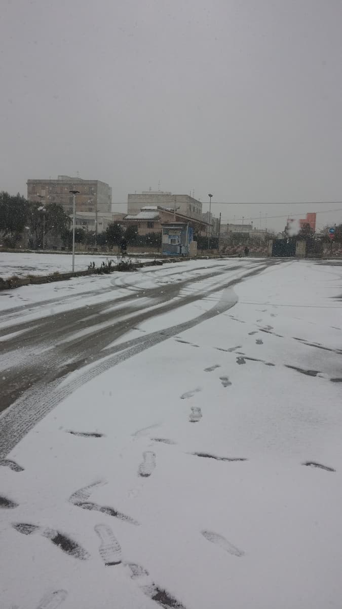 Neve a 100 m s.l.m. 