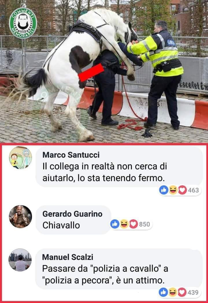 Poverino