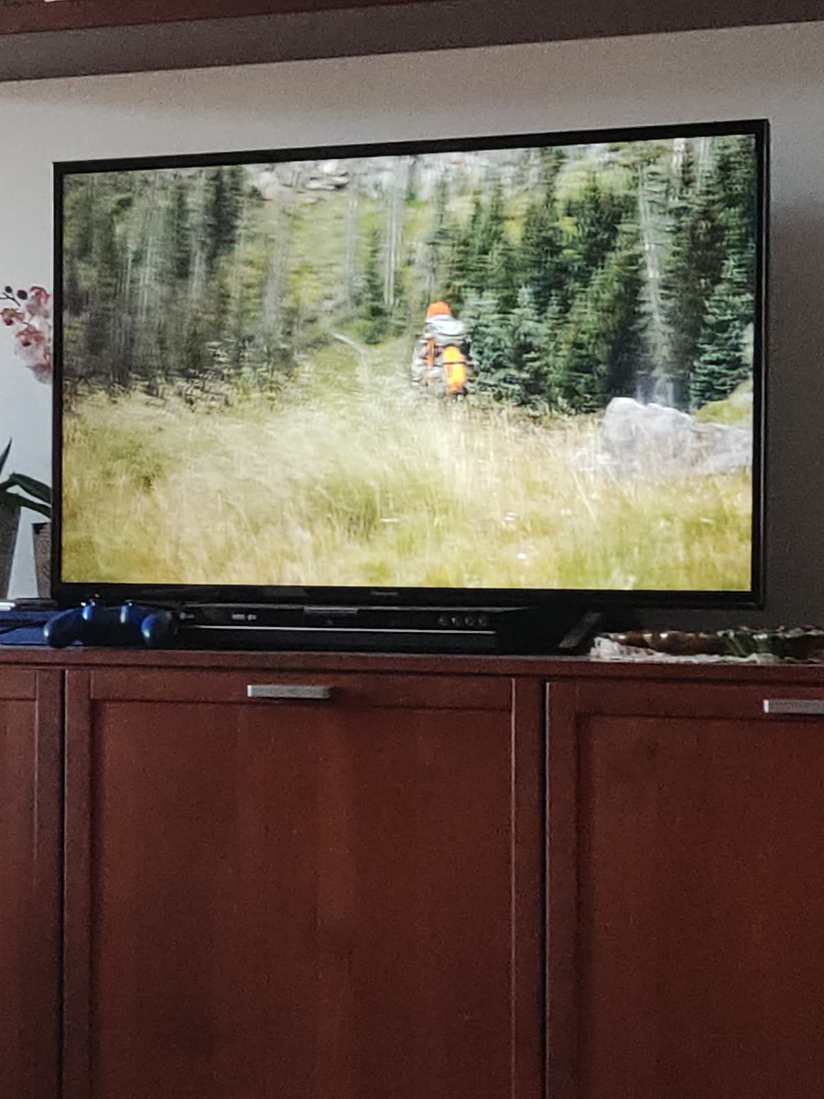 Mio fratello che si guarda programmi sulla caccia degli alci di prima mattina è il mio mood