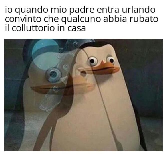 MI SPIEGATE PERCHÉ CAZZO CONTINUA AD URLARE DI CACCIARE IL COLLUTTORIO, DOVE DOVREI METTERMELO, IN CULO? 