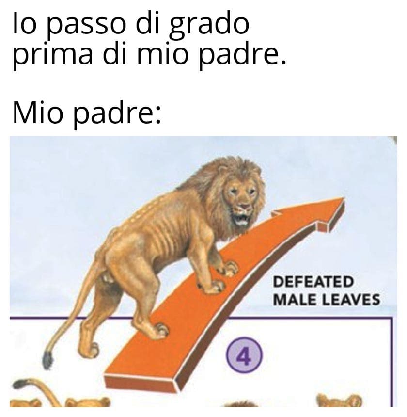 Tu avrai anche l'anzianità, ma io vinco i concorsi